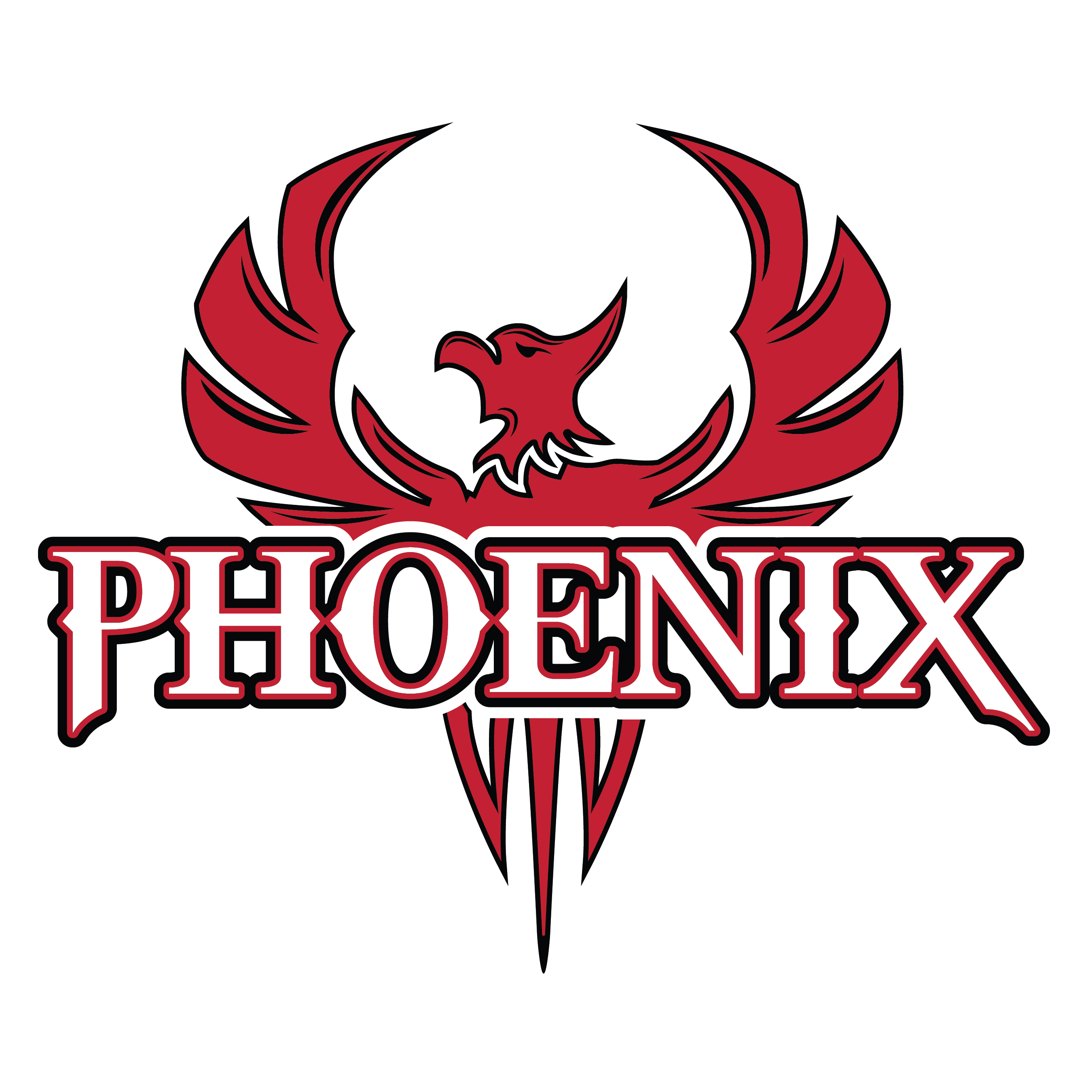 Team Logo